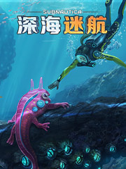 好便宜地摊袜子